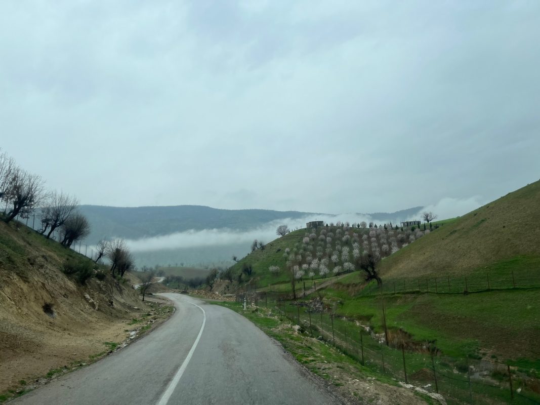 دهکده زراس